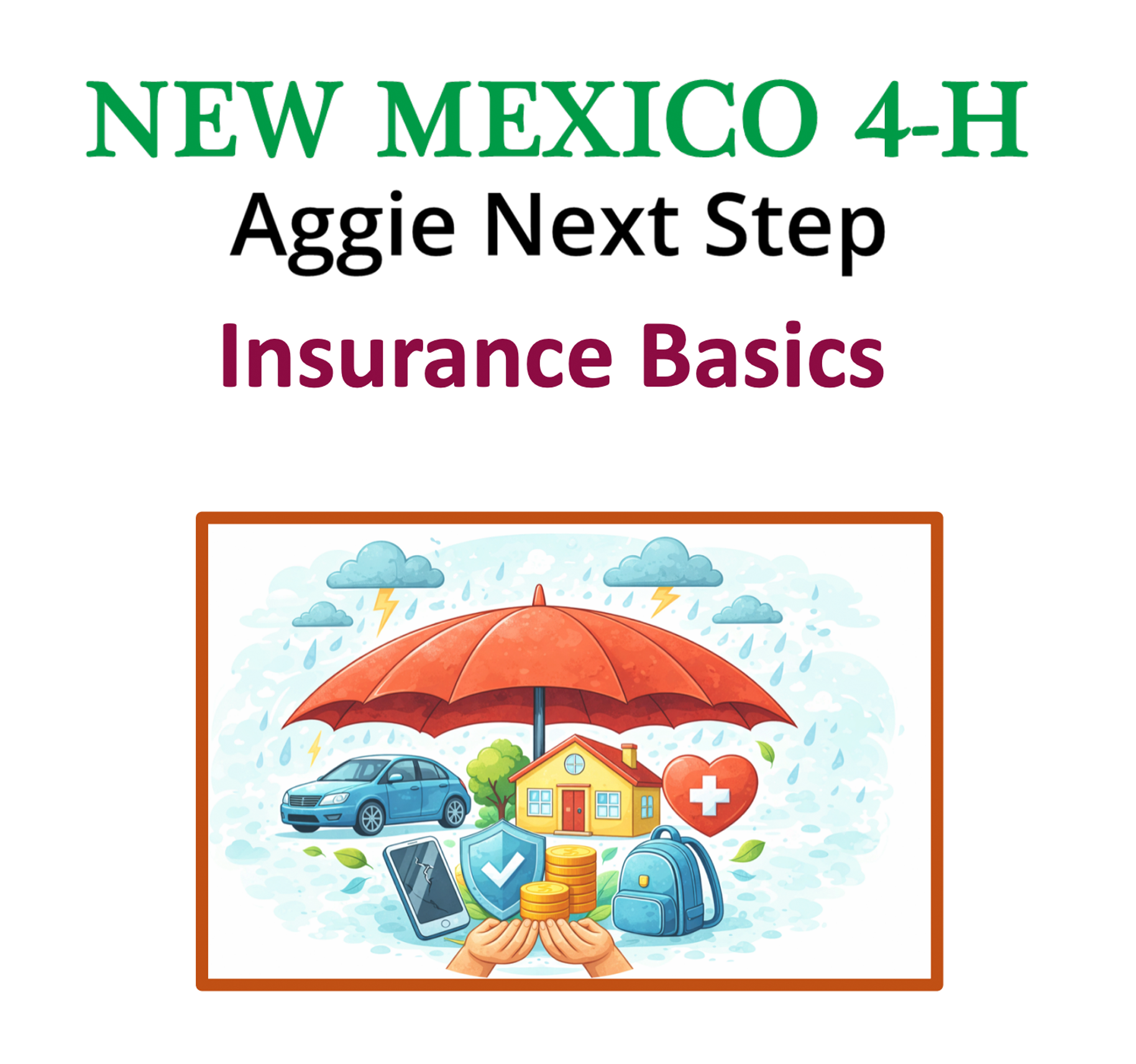 Insurance Basics